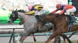 【フェアリーS】イフェイオンが混戦を断つ…重賞初制覇