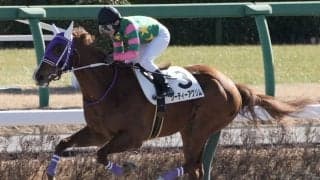 【新馬/中山4R】3連単280万円超え波乱の決着…ジーティーアグリムが3馬身差完勝