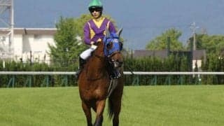 【愛知杯展望】波乱必至の牝馬ハンデ重賞だが前走重賞組が優勢