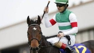 馬産地から24年デビューの“新種牡馬” 評価 ノーザン期待の1頭や日高から「ちょっとおもしろい」産駒も？