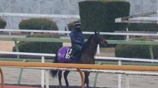 ジャスティンミラノなど、先週の入厩情報/栗東トレセンニュース