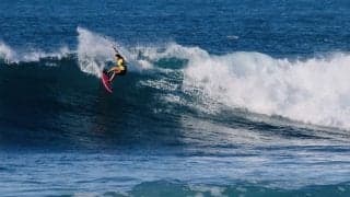 whitebuufalo riderからコメントが到着！ 松田 詩野・大原洋人らが新年の抱負を語る