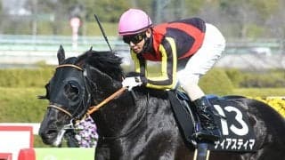 母は米G1・3勝の良血 長距離路線の古豪が日経新春杯V狙う