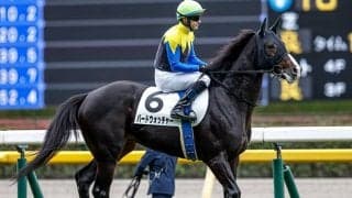 母アパパネ＆姉アカイトリノムスメ 超良血馬が無傷の京成杯V狙う