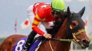 日経新春杯で14年ぶり牝馬Vなるか 紅一点シンリョクカが初タイトル狙う