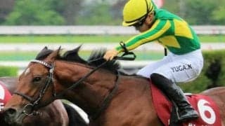 日経新春杯で3つ目のGIIタイトル獲得へ  良血サトノグランツが巻き返し期す