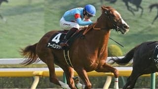 3戦無敗で京成杯Vなるか ホープフルS覇者レガレイラのいとこが初タイトル狙う