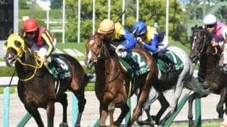 【AJCC想定】ボッケリーニ、マイネルウィルトスなど10頭