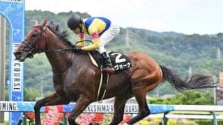 【日経新春杯展望】ハンデGIIで馬券傾向がはっきりしているレース