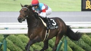 【京成杯展望】好走要件にもかなう大器・ジュンゴールドに注目