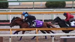 ストーンズなど、若駒S1週前追い切り速報/栗東トレセンニュース