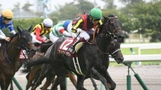 21年ローズS覇者アンドヴァラナウトが抹消 今後はノーザンファームで繁殖馬に