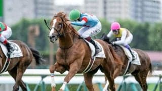 【京成杯出走馬・騎手確定】アーバンシック＆横山武史騎手、バードウォッチャー＆C.ルメール騎手など15頭