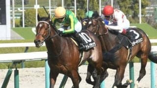 【日経新春杯出走馬・騎手確定】サトノグランツ＆川田将雅騎手、ハーツコンチェルト＆松山弘平騎手など14頭