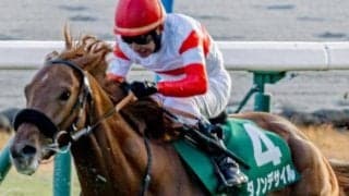 横山典弘騎手が京成杯14年ぶりVなるか セレクト1億円超えの良血馬と参戦