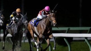 ヴァレーデラルナの競走馬登録抹消