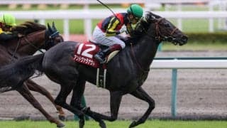 アンドヴァラナウトの競走馬登録抹消