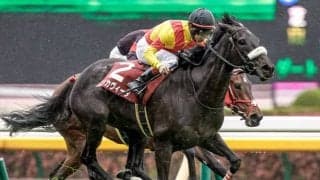 3年目佐々木大輔騎手の重賞初Vなるか 愛知杯でメンバー唯一の重賞ウイナーとタッグ