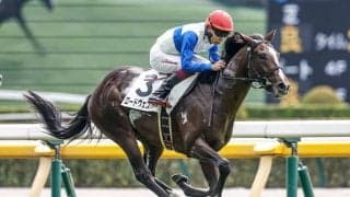 母の父ロードカナロアの重賞初制覇へ 京成杯でロードヴェスパーが一発狙う