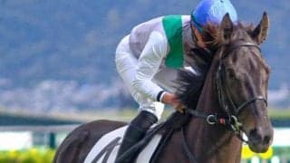 青森産馬4年ぶりのJRA重賞制覇へ ハヤテノフクノスケが京成杯参戦