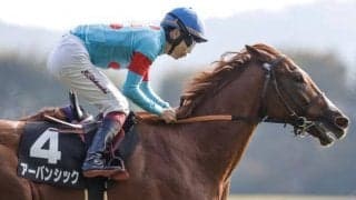 【京成杯枠順確定】アーバンシックは4枠6番、バードウォッチャーは2枠2番