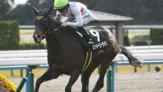 【愛知杯枠順確定】ミッキーゴージャスは7枠12番、コスタボニータは2枠2番