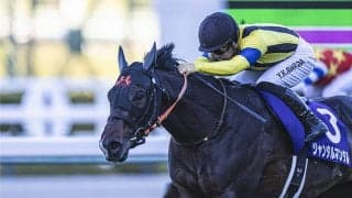 今春の皐月賞と日本ダービーを制すのはどの馬か？ ５人の識者がいち早く予想してみた