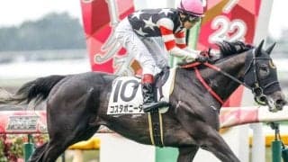 【愛知杯予想】ハンデ重賞らしく人気薄の好走が目立つ一戦！ 前走で出走していた距離にも注意が必要