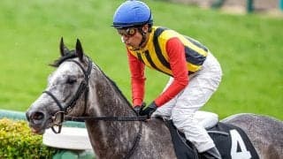 半姉はダート3戦無敗の大器 1億2000万円のエピファネイア産駒デビュー