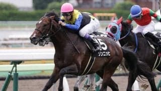 小倉開幕で3場開催スタート 馬場傾向から各場注目の1頭とは？