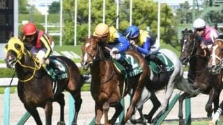 【AJCC想定馬・騎手】ボッケリーニ、マイネルウィルトスなど13頭