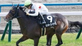 定年間近の安田隆師 ミッキーゴージャスで愛知杯V狙う