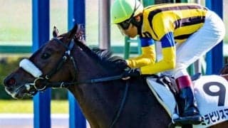 きょうだいに活躍馬がズラリと並ぶ超良血 先の大舞台に向けて菜の花賞で連勝狙う