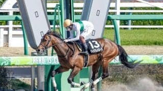 【東海S想定馬・騎手】ウィリアムバローズ、ヴィクティファルスなど17頭