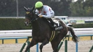 【今日の注目ポイント】小倉競馬が開幕！ 初日に牝馬のハンデ重賞・愛知杯