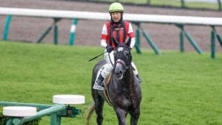 【愛知杯予想】今年は小倉芝2000mでの開催 立ち回りの上手さ・レースセンスが問われるコース