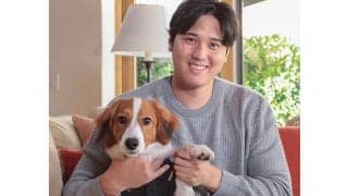 大谷翔平の愛犬、ついに米雑誌に“進出”　謎の暗号が話題「ジョークだらけ」