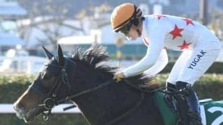 【愛知杯結果】ミッキーゴージャスが3連勝で重賞初制覇！