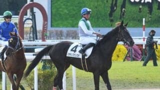 【京成杯予想】経験値よりも素質を重視!? 前走GII・GIII組が苦戦を強いられる3歳馬の一戦