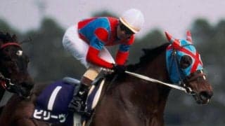 祖母は名牝ビリーヴ 坂路好時計のディスタントスカイが武豊騎手で初陣V狙う