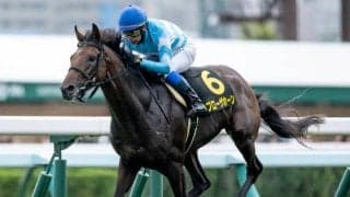 【日経新春杯前日オッズ】ブローザホーンが4.1倍で1番人気