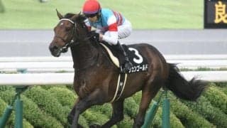 【京成杯前日オッズ】ジュンゴールドが2.5倍で1番人気