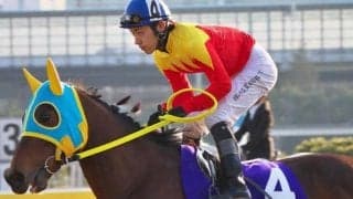 地方重賞6勝カキツバタロイヤルの唯一の産駒 日曜中山3Rでデビュー