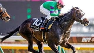 【AI予想・日経新春杯】人気にとらわれない柔軟な予想が的中の鍵！ 本命は重賞未勝利も能力は十分通用する実力馬