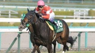 母はヴィクトリアマイル3着馬 坂路好時計のレッドエヴァンスがデビューV狙う