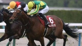 【日経新春杯予想】4年ぶりの京都開催 “淀の坂”をどう攻略するか