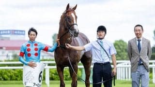 【京成杯予想】前走で見るべきデータは「クラス」よりも「距離」？ 狙うは中位人気の上がり最速タイプ