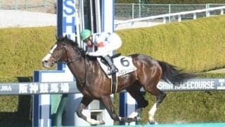 【船橋・ブルーバードC枠順】今年からダートグレード競走に格上げ 3歳ダート三冠への登竜門