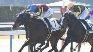 【京都5R新馬戦結果】リアルスティール産駒ミエスペランサが競り合いを制す