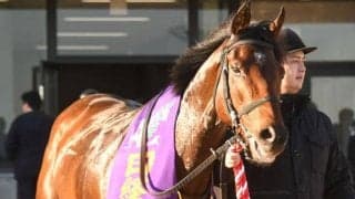 【JRA・WIN5】本日のWIN5は的中1135票、配当45万7050円